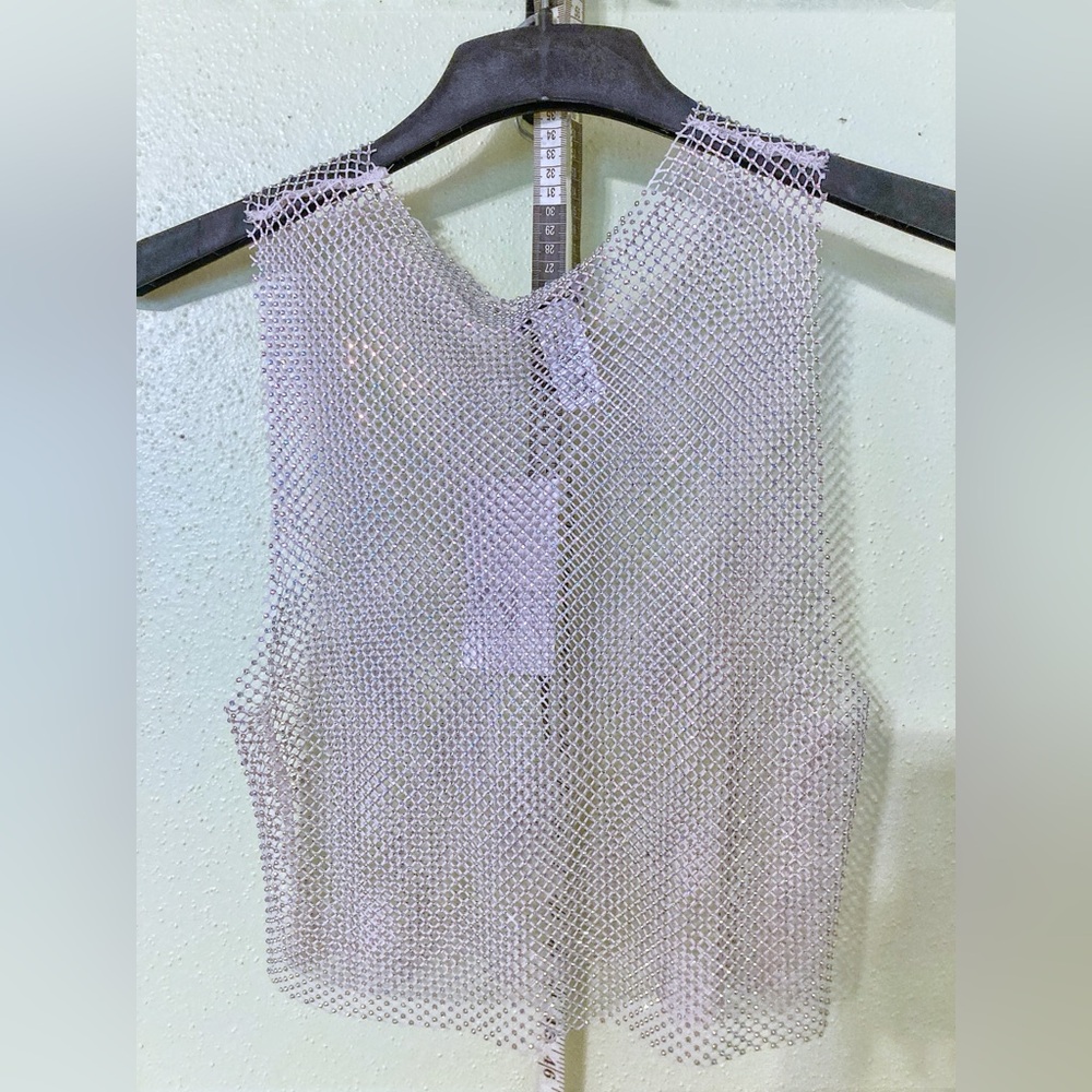 Zara NWT Metallic Mesh Sleeveless Camisole in Light Silver Beige 2712/343/712 - Picture 3 of 4